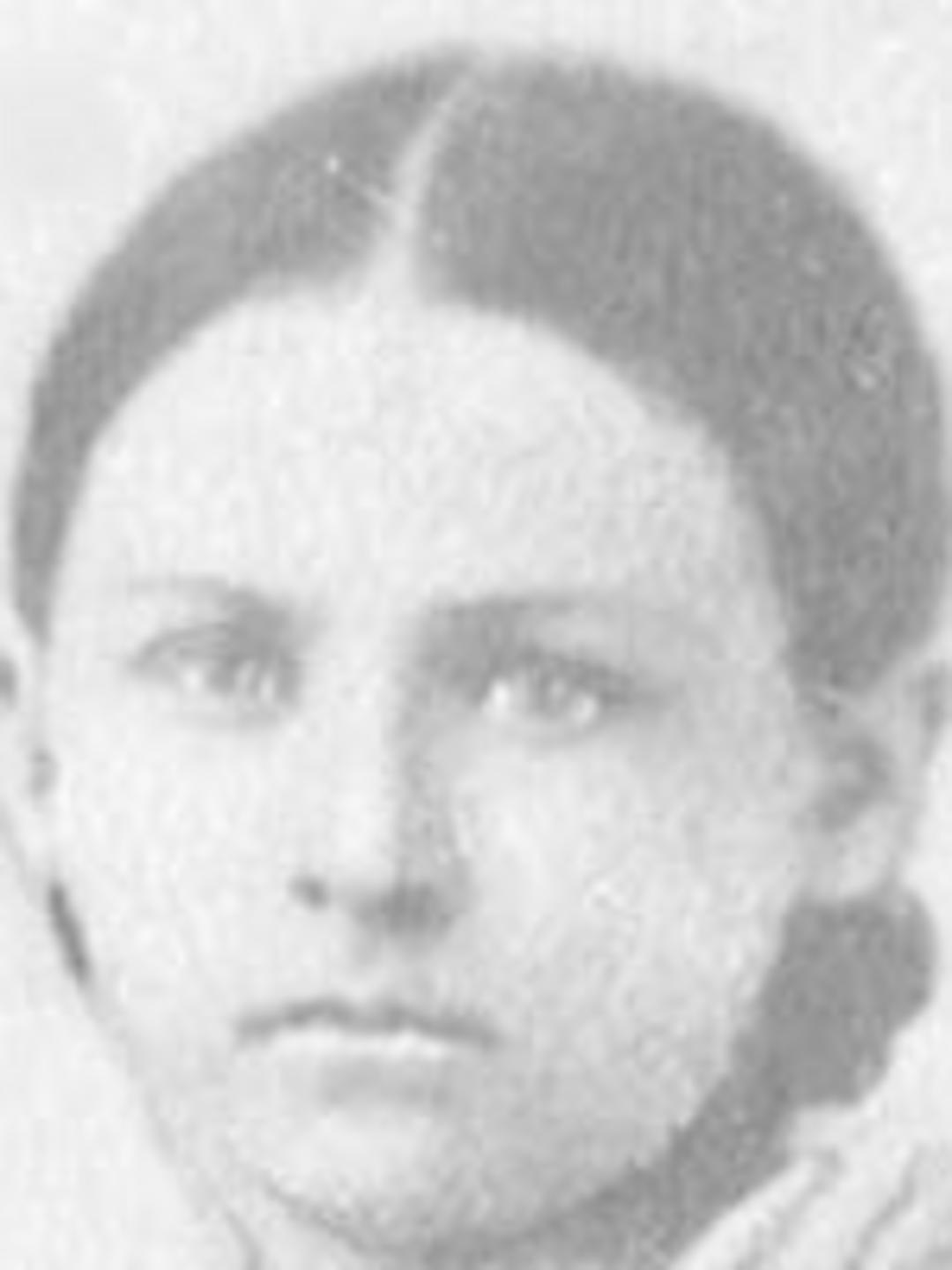 Betsy Dunn (1838 - 1937) Profile